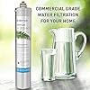 Pentair Everpure H-300-HSD Quick-Change Filter Cartridge, EV927075